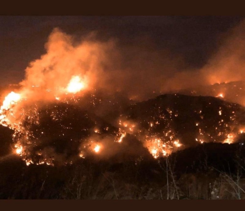 100 حريق تجتاح الأراضي اللبنانية فجر الثلاثاء