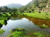 وادي «تربة» مزار سياحي ومقصد محبي الطبيعة