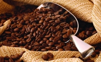 «قشور القهوة» تكافح السكري 2
