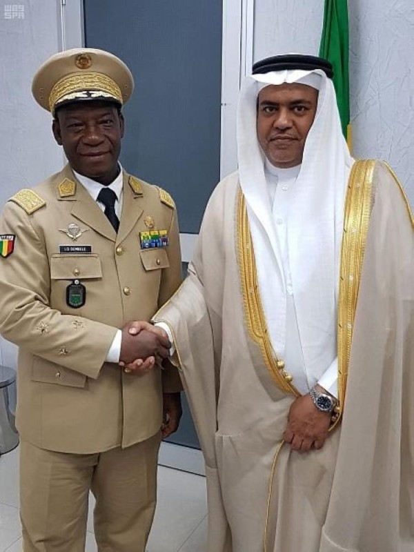 سفير المملكة في مالي يلتقي الجنرال إبراهيما دامبيليمن