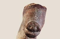 «حضارة المقر» تزخر بالاكتشافات الأثرية وتبرز «استئناس» الإنسان للحيوانات