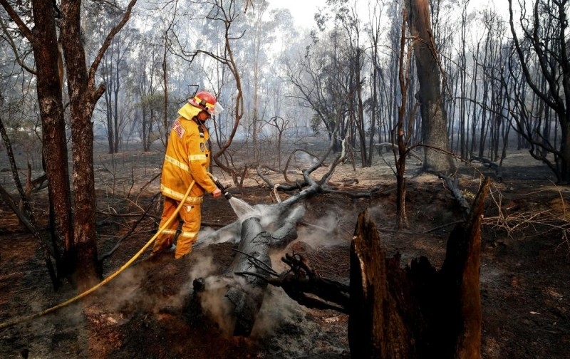 خوفًا من حرائق الغابات .. ولاية أسترالية تعلن حالة الطوارئ
