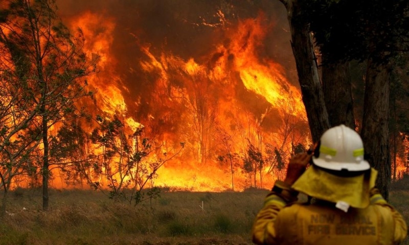 حرائق الغابات تتسبب بإفلاس شركة كهرباء وتأثر 180 ألفا مشترك