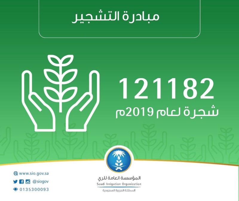 البيئة: زراعة 121 ألف شجرة خلال 2019