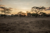 الأمم المتحدة: نصف الشعب الزيمبابوي مهدد بالجوع نتيجة الجفاف