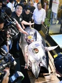 سمكة تونة تُباع بأكثر من 190 مليون ين في اليابان
