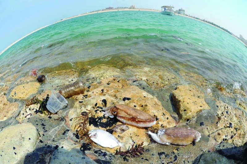 تلوث مياه الخليج يتطلب حلولا غير تقليدية