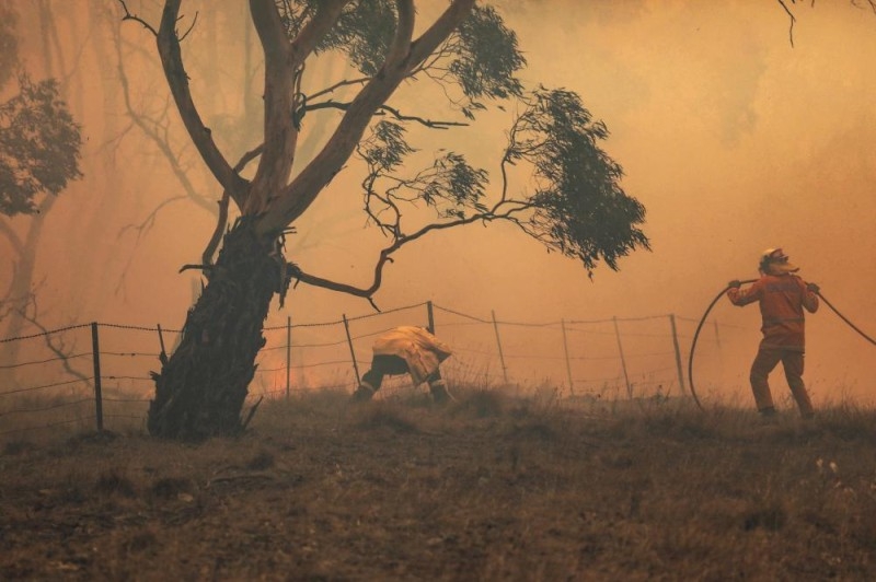 أستراليا تعلن الطوارئ مع اقتراب الحرائق للعاصمة