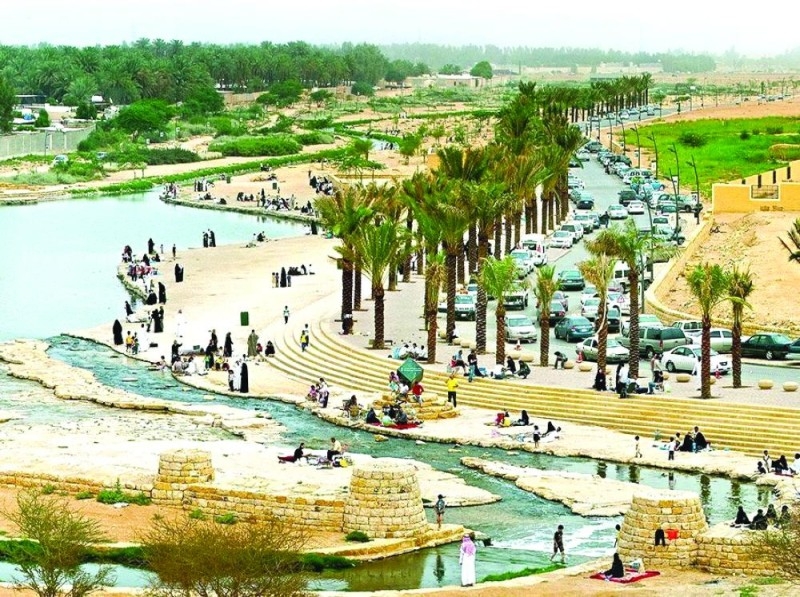 ألمان عشقوا «الرياض».. فحولوا رمالها لحدائق خضراء