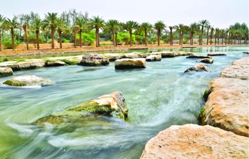 ألمان عشقوا «الرياض».. فحولوا رمالها لحدائق خضراء