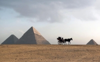 مصر تؤكد خلوها من أي حالات إصابة بـ«كورونا»