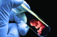 ولادة أول «طفل أنابيب» في عرعر