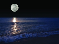 قمر الربيع «العملاق» يزين ليل الشرقية