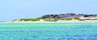 «البرك».. جزر الصيد والسياحة البحرية في البحر الأحمر