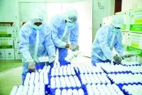 9 مشاريع تضخ 850 ألف بيضة يوميا بالأحساء