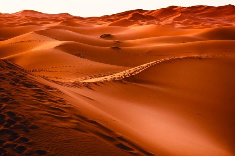 «الصحراء الكبرى».. أخطر مكان على الأرض