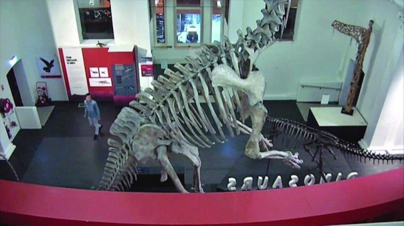 «سيلفي» مع ديناصور