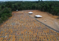وفيات كورونا في البرازيل تتخطى 25 ألفا