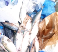 إتلاف 450 كيلو أسماك ودواجن فاسدة بمكة