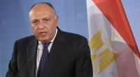 مصر: يجب إنهاء التدخلات الخارجية في اليمن من أطراف غير عربية