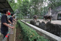 اندونيسيا : إعادة فتح أقدم حديقة حيوان في البلاد بعد 3 أشهر من الإغلاق