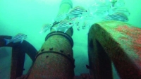 متحف فولاذ وخرسانة مهملة تحت الماء
