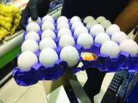 إتلاف 1170 بيضة في القطيف