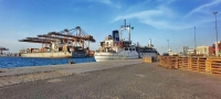 ميناء جدة يستقبل 62 ألف رأس ماشية