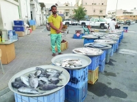 صيد الروبيان يرفع أسعار الأسماك 50 %.. والمستوردة تغزو الأسواق