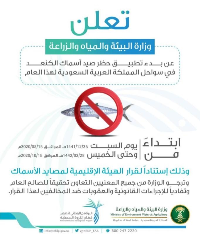 «البيئة» تعلن بدء تطبيق حظر صيد «الكنعد» في سواحل المملكة
