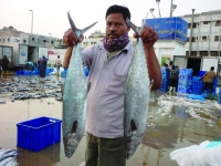 اليوم.. حظر صيد «الكنعد» بسواحل المملكة لـ60 يوما