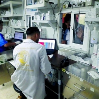 مركز الملك سلمان يخفف آلام 544 مريضا بمخيم الزعتري