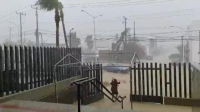 شبه جزيرة مكسيكية في حالة تأهب قصوة تحسبا للإعصار "جينيفيف"