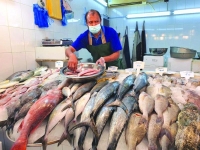 رغم التوطين .. «الوافدة» تسيطر على سوق الأسماك بالدمام