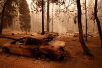 بالصور ... حرائق غابات أوريجون تتسبب في خسائر فادحة