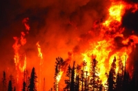 إطفاء حرائق الغابات بـ «الاستشعار عن بعد»