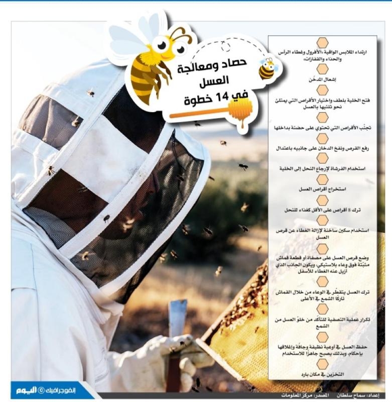 حصاد ومعالجة العسل في 14 خطوة