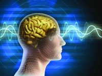 تعليمات المخ تقود لتلف دائم بخلايا الدماغ