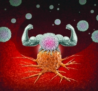 أمل جديد.. تدريب «المناعة» على تدمير خلايا السرطان