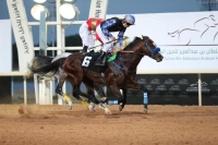 ميدان الأمير سلطان بن عبدالعزيز يستعيد نغم سباقات الخيل
