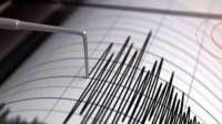 عاجل.. الجيولوجية لـ "اليوم": زلزال يبعد ٨٠ كم ولم يؤثر على المملكة