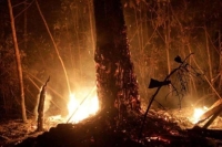 روسيا تشهد أولى حرائق الغابات في 2021