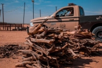 ضبط 70 طن حطب محلي في الرياض