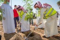 زراعة 600 ألف شجرة و8400 شتلة بجهات حكومية