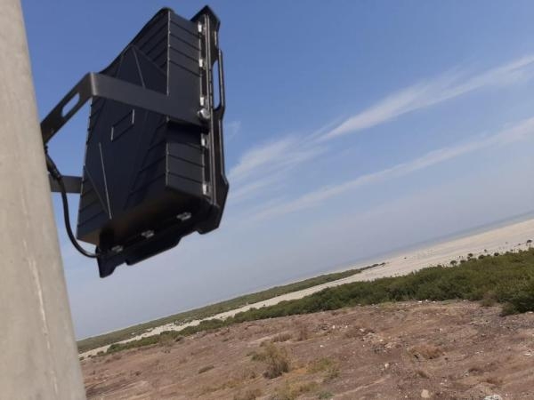 كاميرات لمراقبة «المانجروف» في جزيرة تاروت