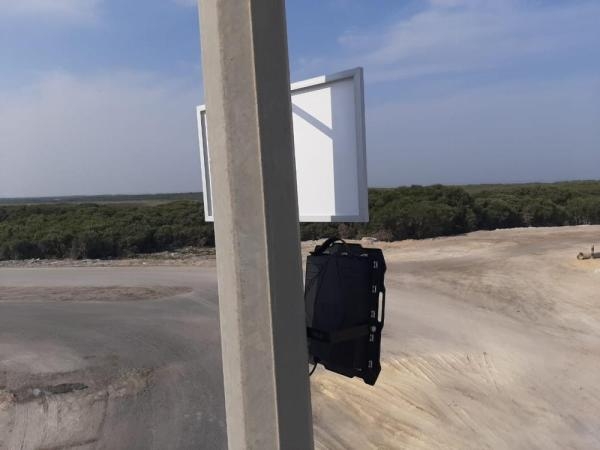 كاميرات لمراقبة «المانجروف» في جزيرة تاروت