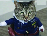 القط «كوكو» يفقد بدلة الشرطة والقبعة