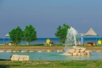 630 حديقة و13 متنزها تتزين لأهالي وزوار الشرقية في عيد الفطر