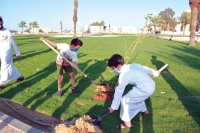 زراعة 50 ألف شجرة في أولى مراحل «القطيف خضراء»