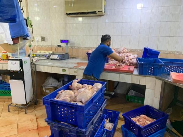 مصادرة 450 كيلو أسماك و6 آلاف دجاجة فاسدة بالقطيف